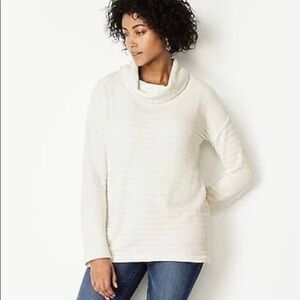 J. Jill Cream Cowl Neck Sweater